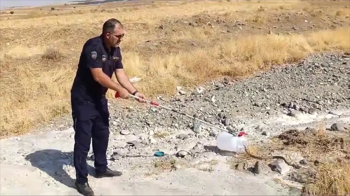 Elazığ’da Yılan İtfaiye Ekiplerince Yakalandı